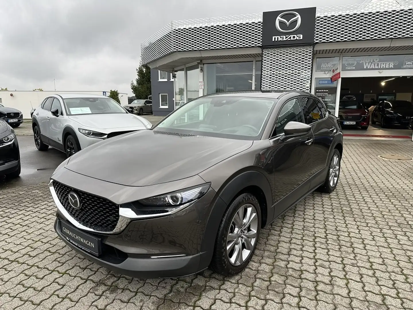 Mazda CX-30 L SKYACTIV-G 2.0 150PS M Hybrid 6GS AL-SELECTION A Gris - 1