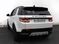Land Rover Discovery Sport P200SE Dyn.7 Seats Face Pano AWD 360Camera Weiß - thumbnail 16