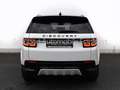 Land Rover Discovery Sport P200SE Dyn.7 Seats Face Pano AWD 360Camera Weiß - thumbnail 4