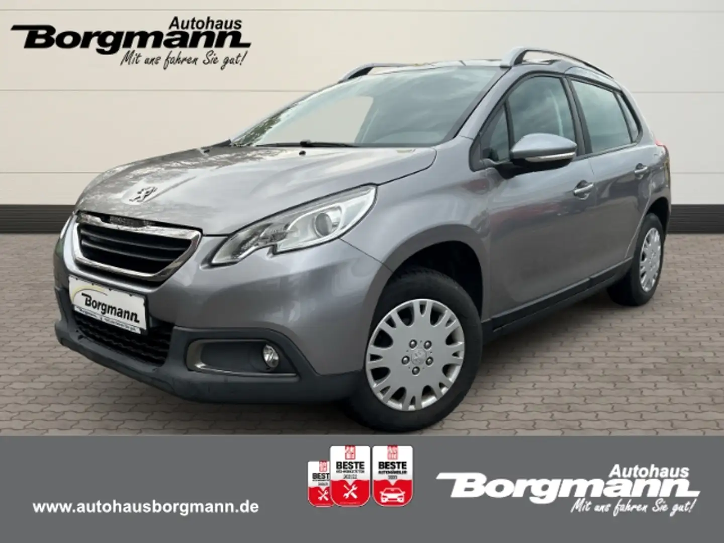 Peugeot 2008 Active 8-Fach Bereift - SHZ - PDC hinten Gris - 1