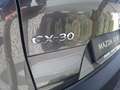 Mazda CX-30 G122 COM+ Grau - thumbnail 3