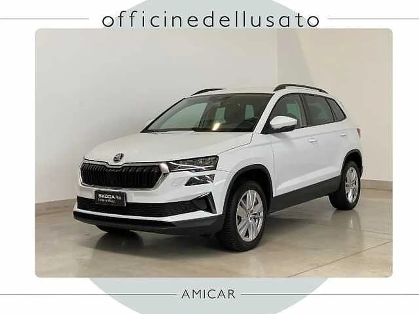 Skoda Karoq 2.0 tdi evo scr 115cv selection - 1