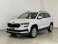 Skoda Karoq 2.0 tdi evo scr 115cv selection - thumbnail 17