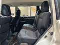 Mitsubishi Pajero 3.2 cr Intense auto *7 POSTI*VERRICELLO* White - thumbnail 13