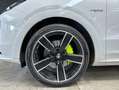 Porsche Cayenne Coupe - PLATINUM EDITION - e-hybrid  - IVA esposta Weiß - thumbnail 26