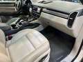 Porsche Cayenne Coupe - PLATINUM EDITION - e-hybrid  - IVA esposta Weiß - thumbnail 11