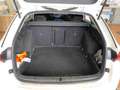 Skoda Octavia Combi Ambition 2.0 TDI DSG*NAVI*ACC*SHZ* Weiß - thumbnail 5