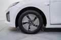 Hyundai IONIQ HEV 1.6 GDI Klass Blanco - thumbnail 11