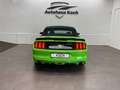 Ford Mustang 3.7 Cabrio - Prachtstück in Giftgrün! Grün - thumbnail 13