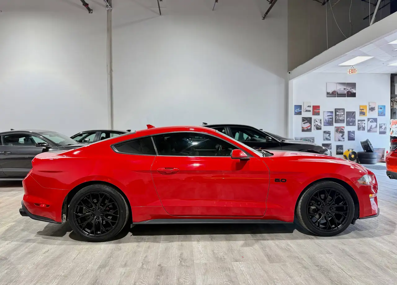 Ford Mustang fotografie Ford Mustang