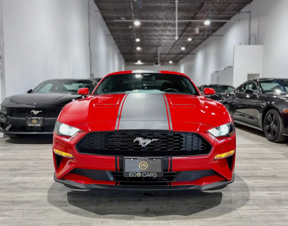 Ford Mustang fotografie Ford Mustang
