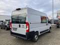 Fiat Ducato 160 L2H2 teilverglast RS: 3450 mm Grau - thumbnail 4