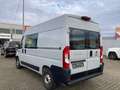 Fiat Ducato 160 L2H2 teilverglast RS: 3450 mm Grau - thumbnail 3