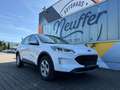 Ford Kuga Plug-In Hybrid Cool & Connect /AHK schwenkbar Bianco - thumbnail 1