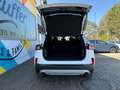 Ford Kuga Plug-In Hybrid Cool & Connect /AHK schwenkbar Weiß - thumbnail 7