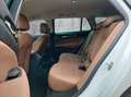 Opel Insignia B ST Premium "Innovation" Leder/Matrix Weiß - thumbnail 23
