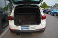Volkswagen Tiguan Sport & Style BMT Kamera-Panorama Bianco - thumbnail 11