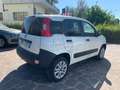 Fiat Panda 0.9 t.air t. 4x4 Bianco - thumbnail 5