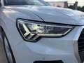 Audi Q3 Q3  35 tdi  s-tronic  UFF AUDI AZIENDALE GARANZIA Weiß - thumbnail 12