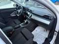 Audi Q3 Q3  35 tdi  s-tronic  UFF AUDI AZIENDALE GARANZIA Weiß - thumbnail 32