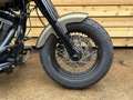 Harley-Davidson Softail Slim S FLSS Groen - thumbnail 17