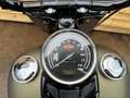 Harley-Davidson Softail Slim S FLSS Groen - thumbnail 18