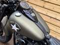 Harley-Davidson Softail Slim S FLSS Groen - thumbnail 15