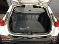 Mercedes-Benz C 220 d T 4M AVANTG+NIGHT+PANO+360+LED+KEYLESS+9G Weiß - thumbnail 20