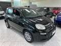 Fiat Panda Panda 1.0 FireFly S&S Hybrid Nero - thumbnail 3