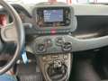 Fiat Panda Panda 1.0 FireFly S&S Hybrid Nero - thumbnail 6