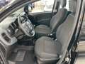 Fiat Panda Panda 1.0 FireFly S&S Hybrid Nero - thumbnail 5
