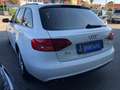 Audi A4 A4 IV 2012 Avant Avant 2.0 tdi Business 150cv Bianco - thumbnail 5