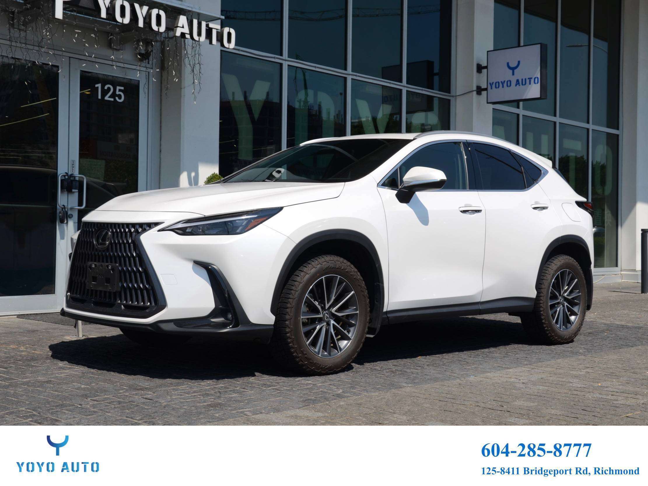 2025 Lexus NX No Accident | Low KM