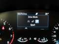 Ford Focus Turnier 1.0 EcoB Cool&Connect AHK+LED+Kam Gris - thumbnail 29