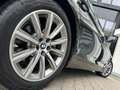 BMW 530 e Limousine DA PA HuD LC Prof. CarPlay Alarm Gri - thumbnail 5