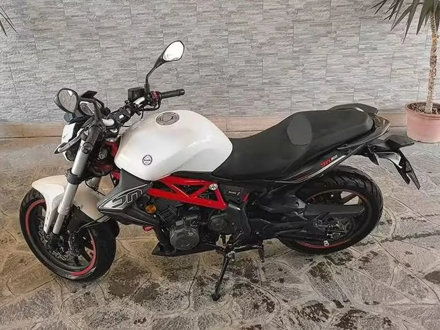 Benelli BN 302 Blanc - 1