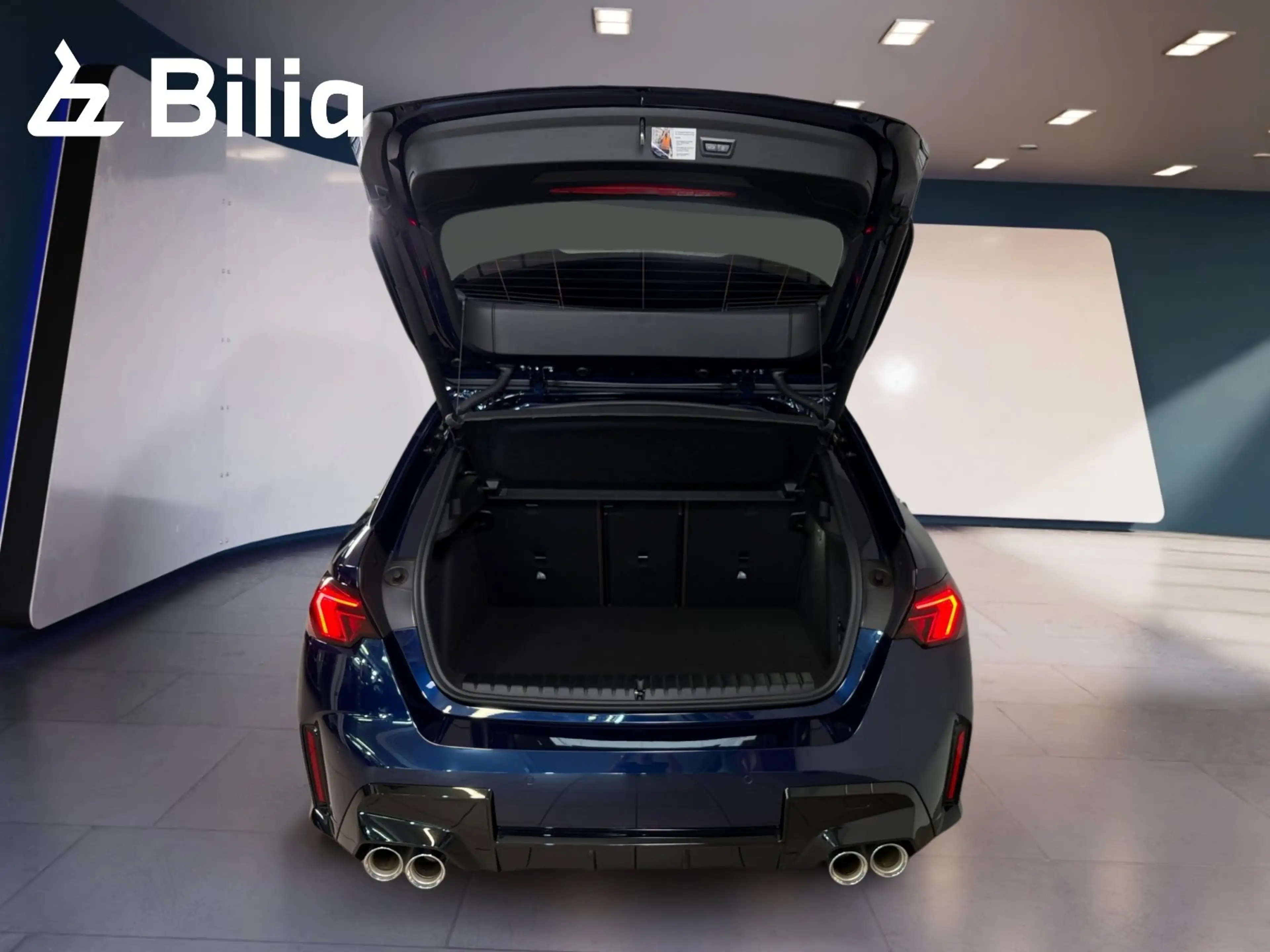 BMW 135 M135i xDrive Sportpaket Head-Up HK HiFi DAB LED — photo 10