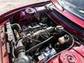 Peugeot 504 504 Rot - thumbnail 5