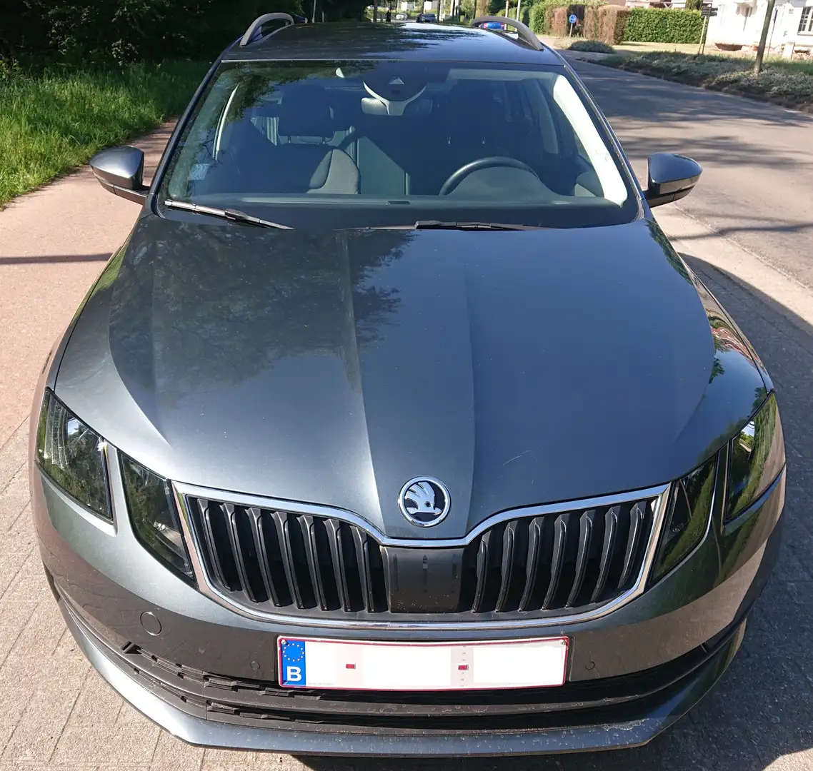 Skoda Octavia Octavia Combi 1.5 TSI G-TEC DSG Active Gris - 1