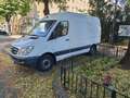 Mercedes-Benz Sprinter Sprinter 313 CDI 3,5 t / 3.665 mm Weiß - thumbnail 1