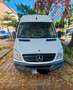 Mercedes-Benz Sprinter Sprinter 313 CDI 3,5 t / 3.665 mm Weiß - thumbnail 3