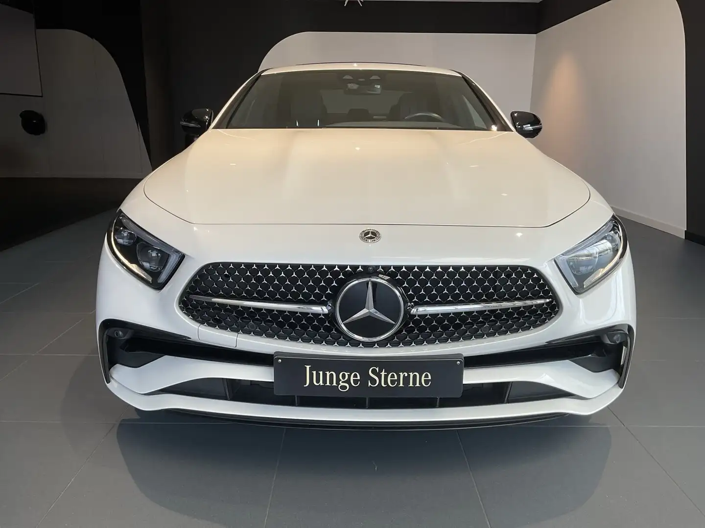 Mercedes-Benz CLS 450 CLS 450 4M AMG Distro Multibeam Schiebedach AHK Alb - 2