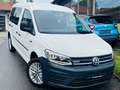 Volkswagen Caddy Nfz Maxi Kombi BMT 4Motion Beyaz - thumbnail 1