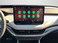 Skoda 60 NAVI HeadUp ADVANCED MATRIX-LED ACC WÄR Grau - thumbnail 11