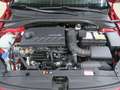 Kia Ceed / cee'd 1.4 T-GDI DCT ISG OPF Vision! NAVI Червоний - thumbnail 6