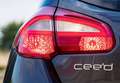 Kia Ceed / cee'd Pro_Cee´d 1.4 Concept Negro - thumbnail 10