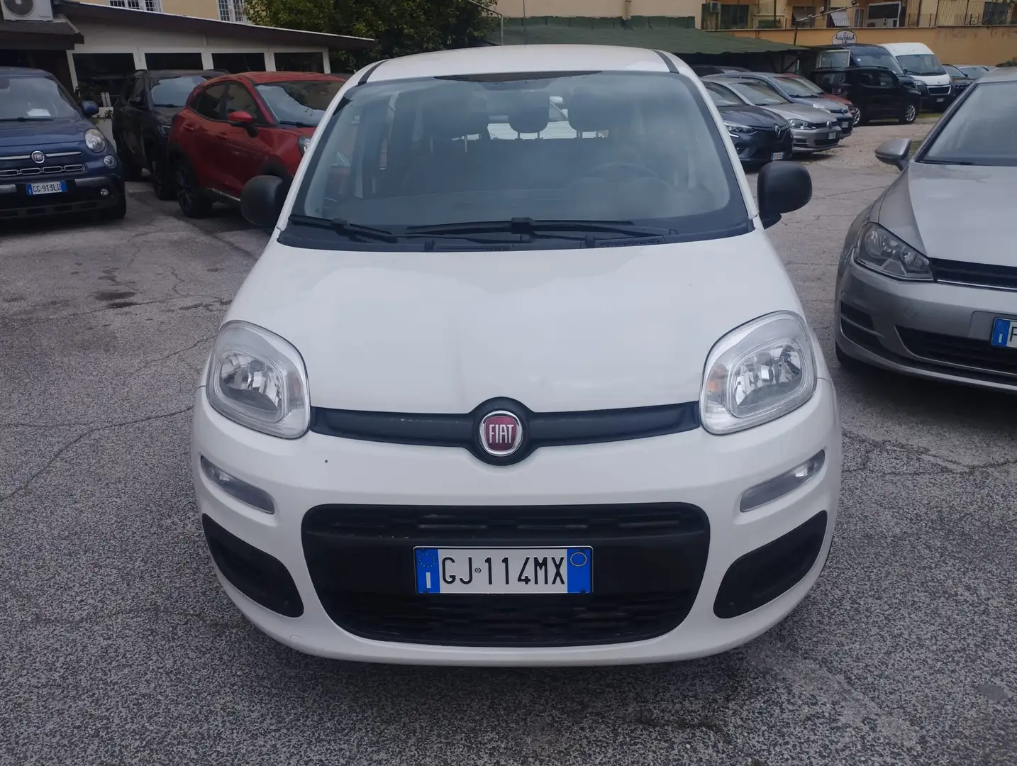 Fiat Panda Panda 1.0 hybrid s 5 posti PREZZO REALE Bianco - 2