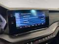 Skoda Octavia 2.0 TSI V RS ab ca. 326€ monatlich Gris - thumbnail 29