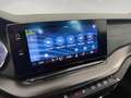 Skoda Octavia 2.0 TSI V RS ab ca. 326€ monatlich Gris - thumbnail 30
