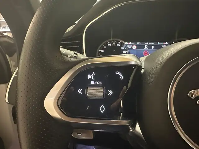 Jaguar F-Pace view 11